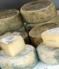 analisi alimenti